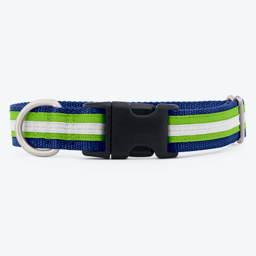 Image of striped webbing dog collar Image of striped webbing dog collar